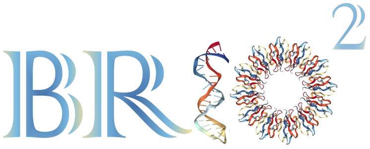 Beam RNA Interaction mOtif search tool